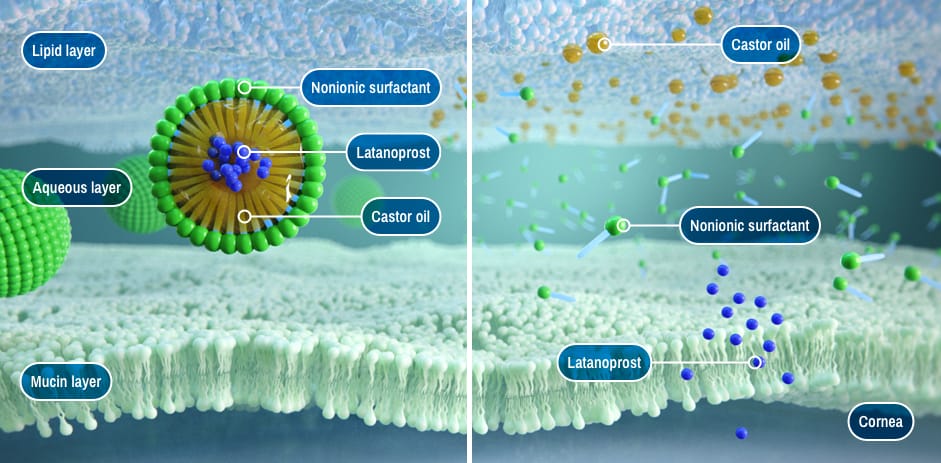 tear-cross-section